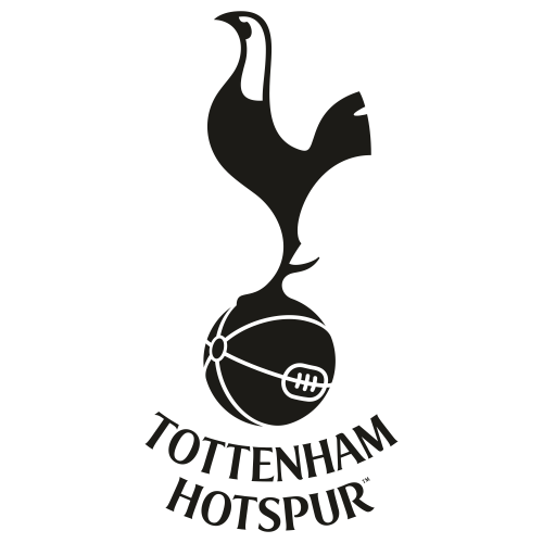 a chicken on a basketball, which represents a soccer team for some reason lol